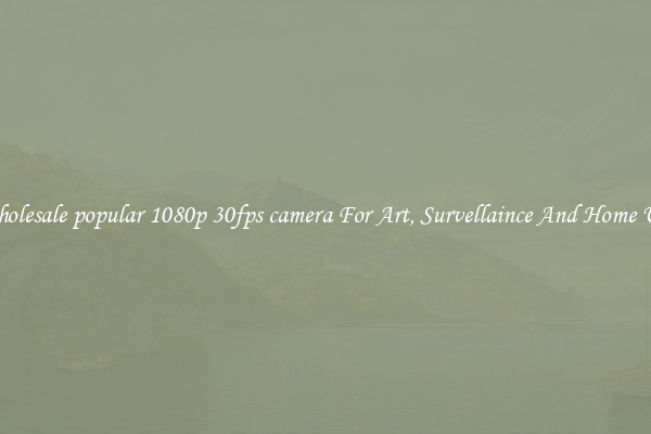 Wholesale popular 1080p 30fps camera For Art, Survellaince And Home Use
