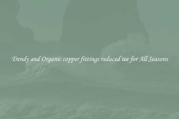 Trendy and Organic copper fittings reduced tee for All Seasons