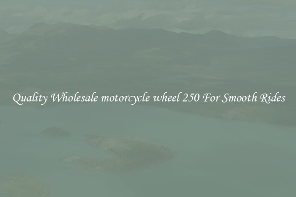 Quality Wholesale motorcycle wheel 250 For Smooth Rides