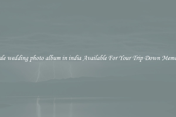 Wholesale wedding photo album in india Available For Your Trip Down Memory Lane