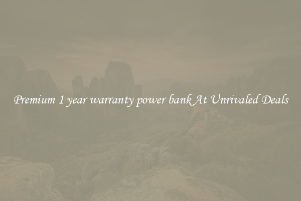 Premium 1 year warranty power bank At Unrivaled Deals