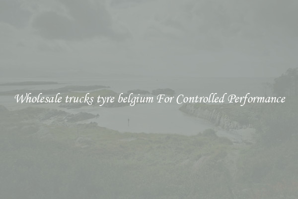 Wholesale trucks tyre belgium For Controlled Performance