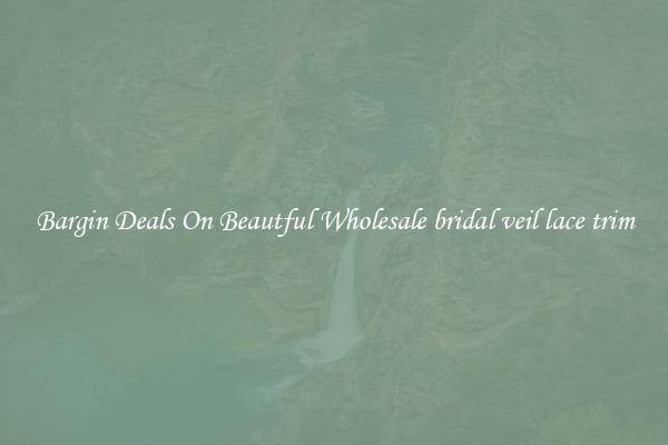 Bargin Deals On Beautful Wholesale bridal veil lace trim