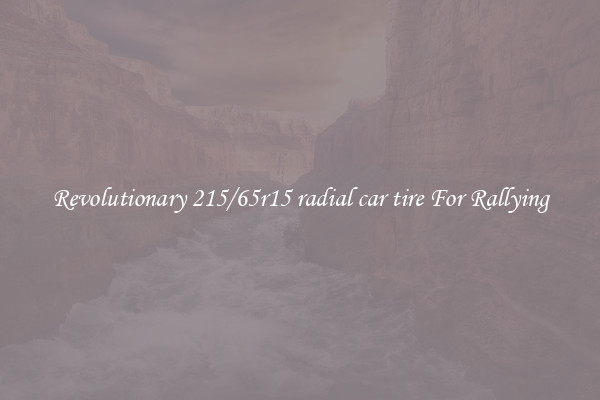 Revolutionary 215/65r15 radial car tire For Rallying