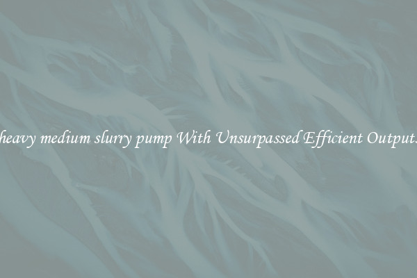 heavy medium slurry pump With Unsurpassed Efficient Outputs