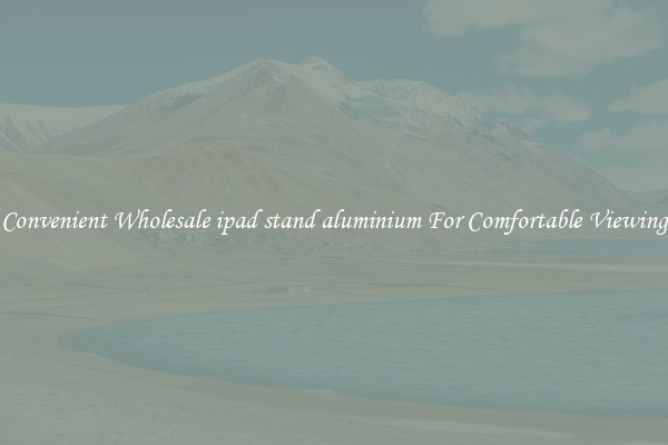 Convenient Wholesale ipad stand aluminium For Comfortable Viewing