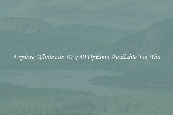 Explore Wholesale 30 x 40 Options Available For You