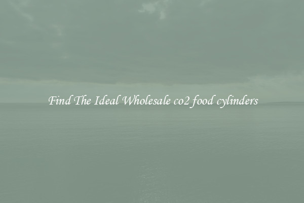 Find The Ideal Wholesale co2 food cylinders