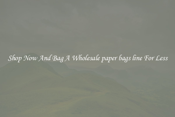 Shop Now And Bag A Wholesale paper bags line For Less