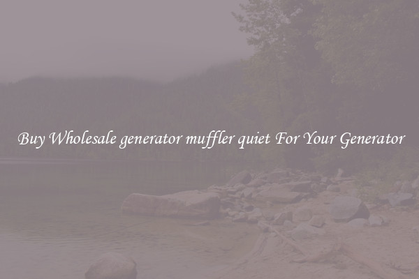 Buy Wholesale generator muffler quiet For Your Generator