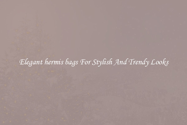 Elegant hermis bags For Stylish And Trendy Looks