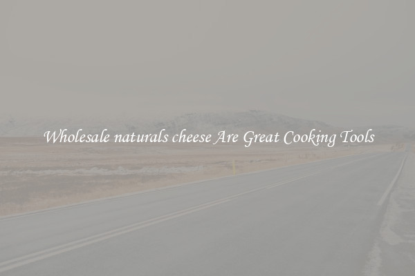 Wholesale naturals cheese Are Great Cooking Tools